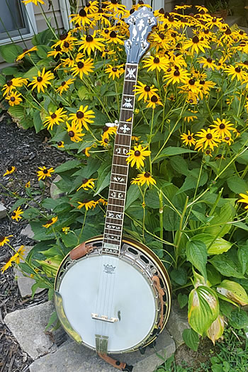 Timberwinds Bluegrass - Knoxville